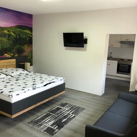 Pension Am See Торгау Екстер'єр фото