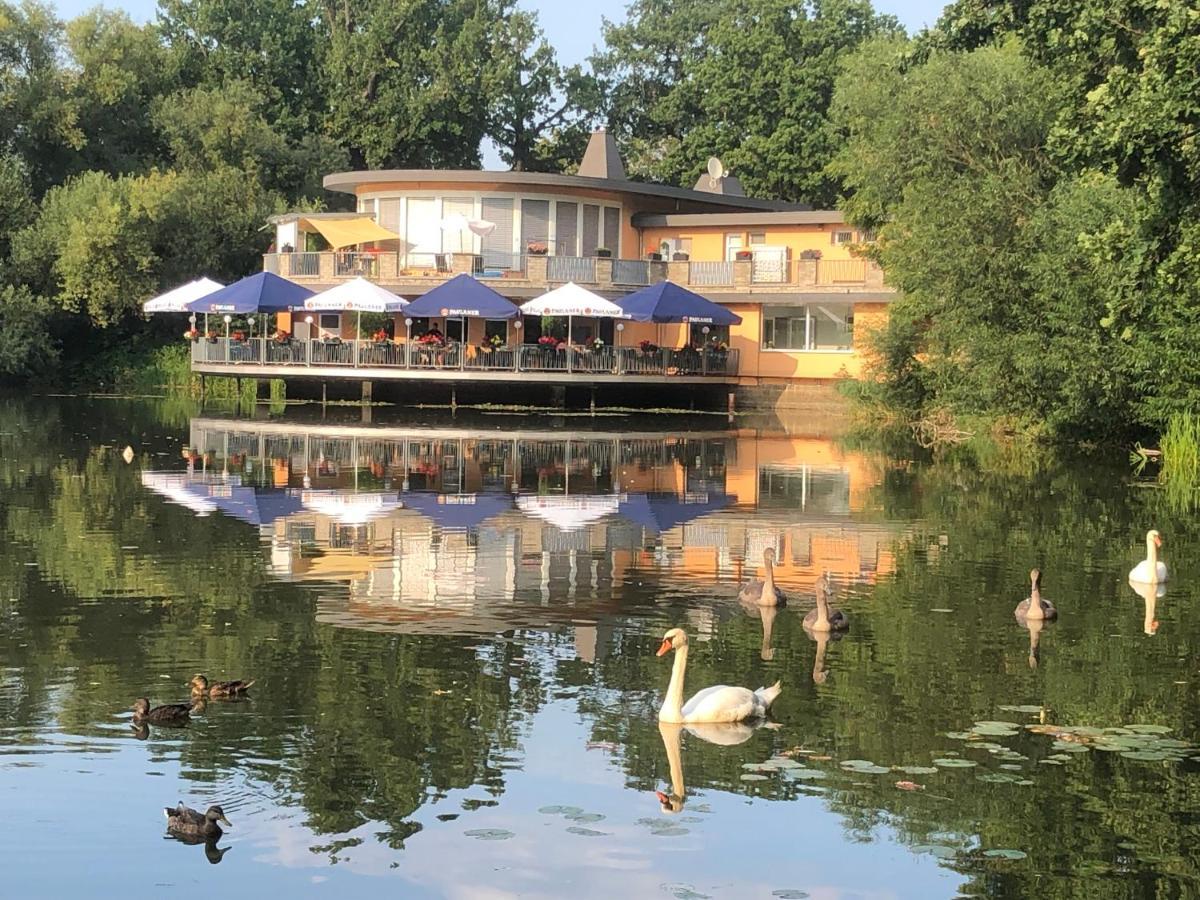 Pension Am See Торгау Екстер'єр фото